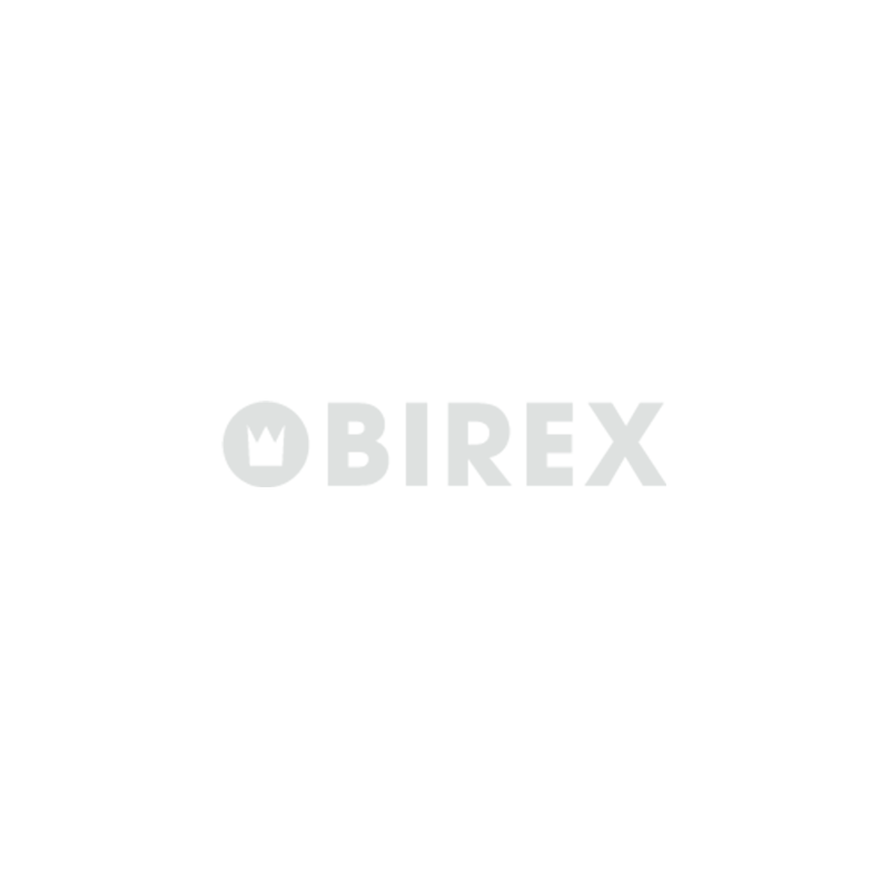 06-birex-logo